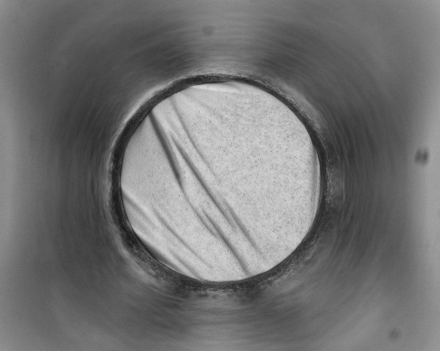 X0000100960580200807221147