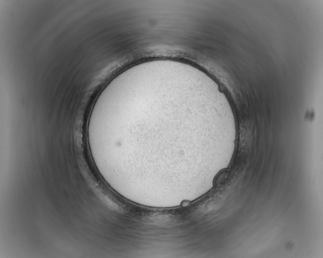 X0000100960581200807221147