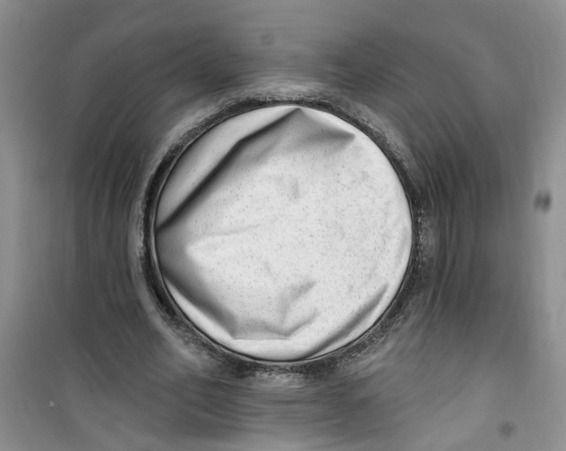 X0000100960582200807221147