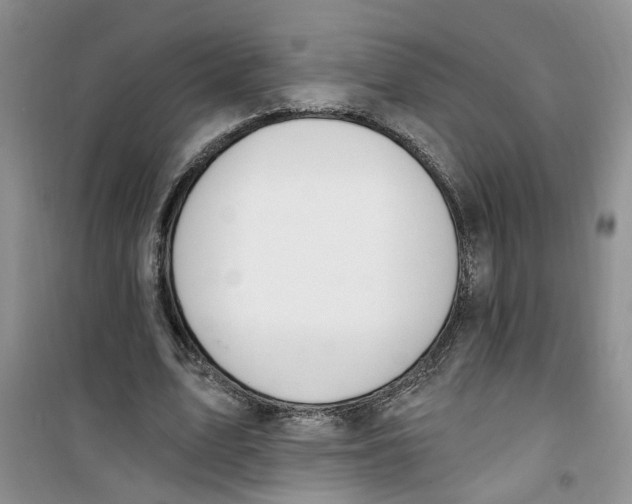 X0000100960583200807221147