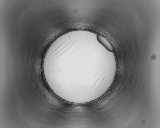 X0000100960585200807221147