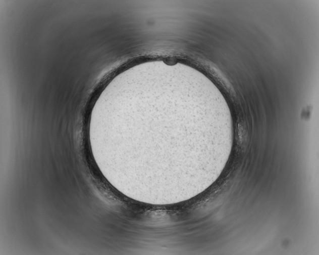 X0000100960588200807221147