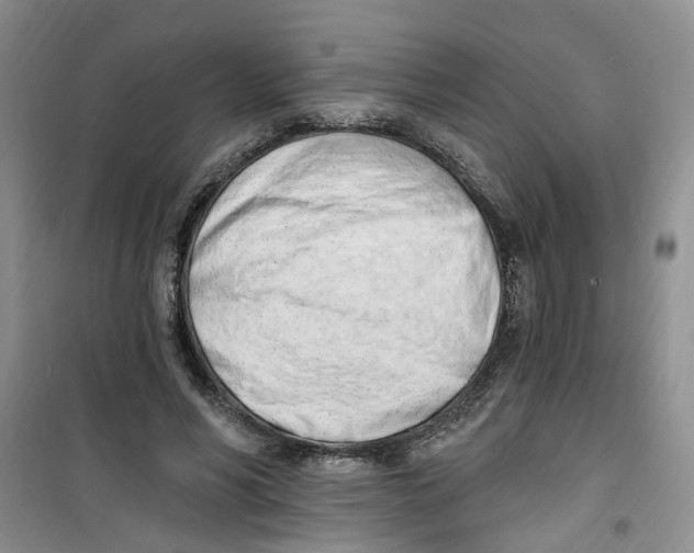 X0000100960590200807221147