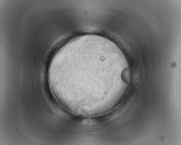 X0000100960591200807221147