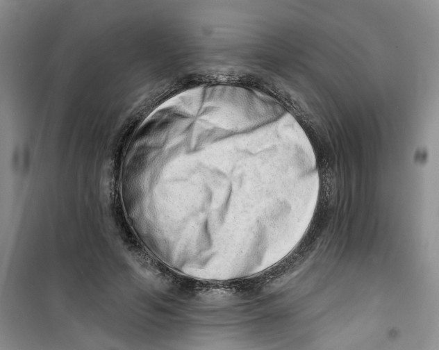 X0000100960594200807221147