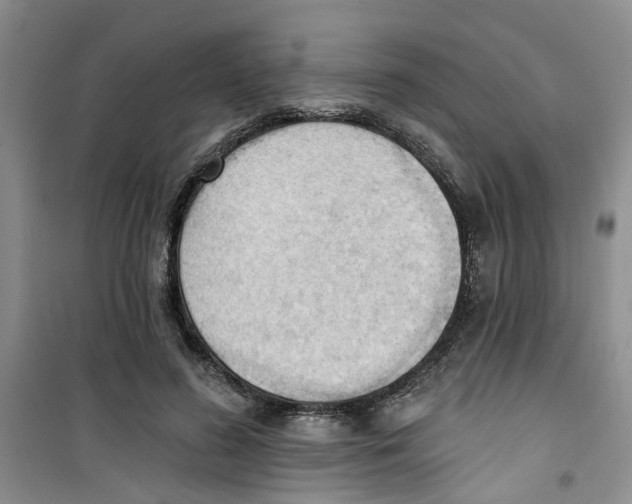 X0000100960596200807221147