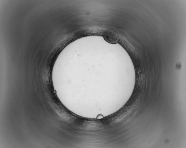 X0000100960597200807221147