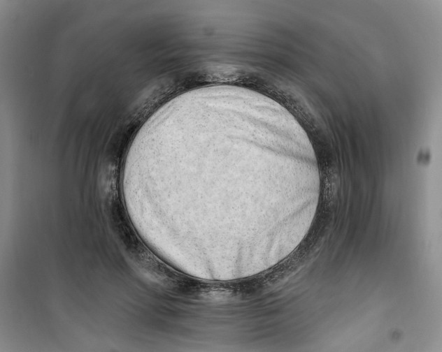 X0000100960598200807221147