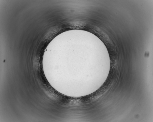 X0000100960599200807221147