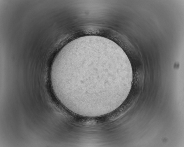 X0000100960600200807221147