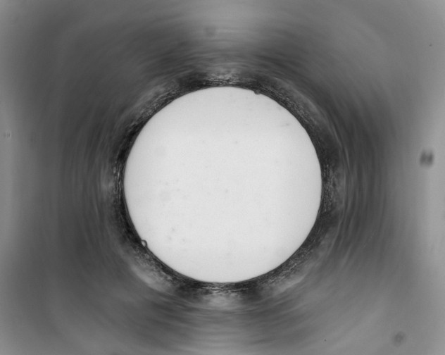 X0000100960601200807221147