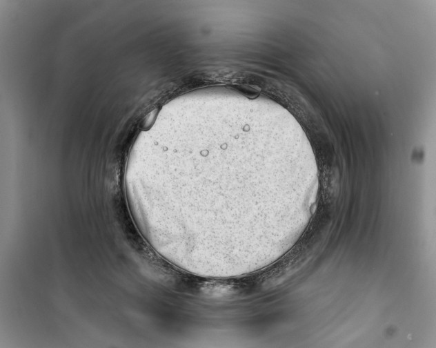 X0000100960602200807221146