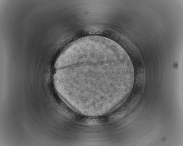 X0000100960604200807221146