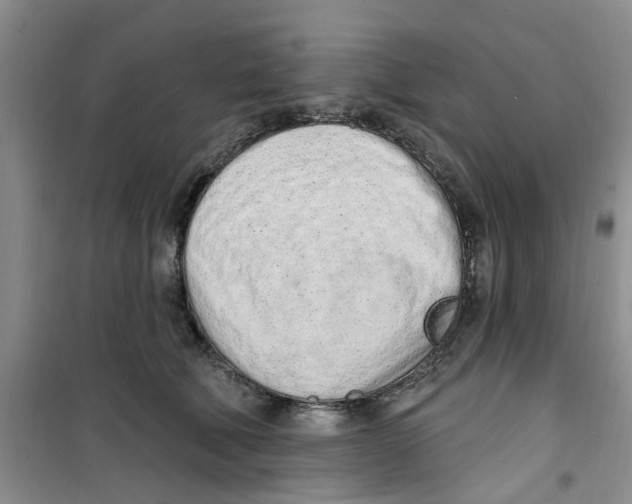 X0000100960610200807221146