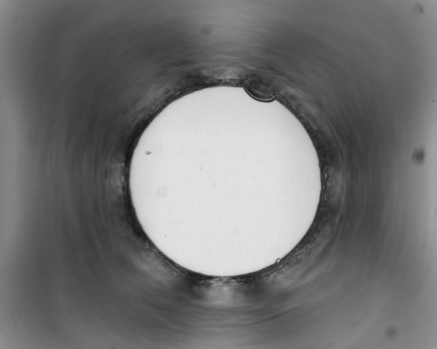 X0000100960612200807221146