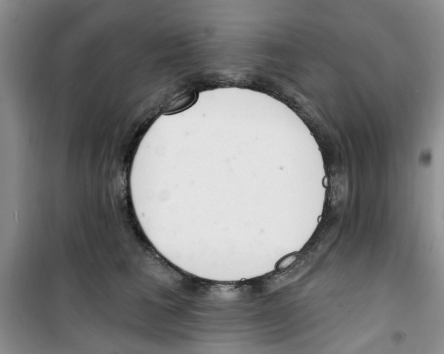 X0000100960613200807221146