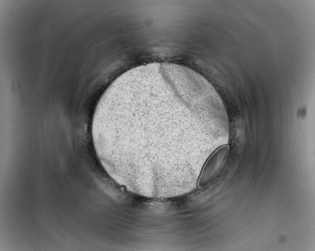 X0000100960615200807221146