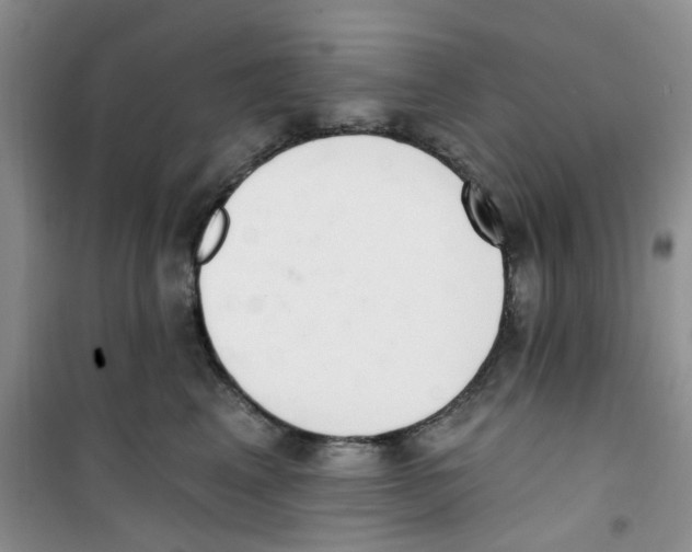 X0000100960617200807221146