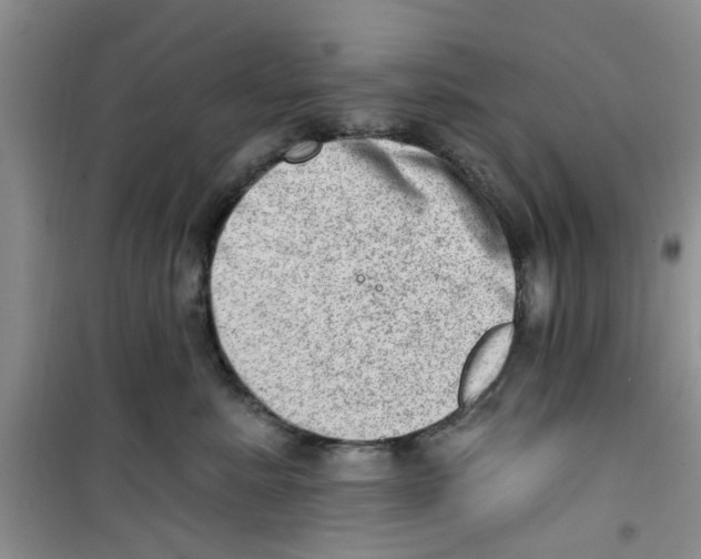 X0000100960619200807221146