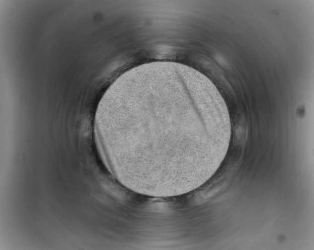 X0000100960620200807221146