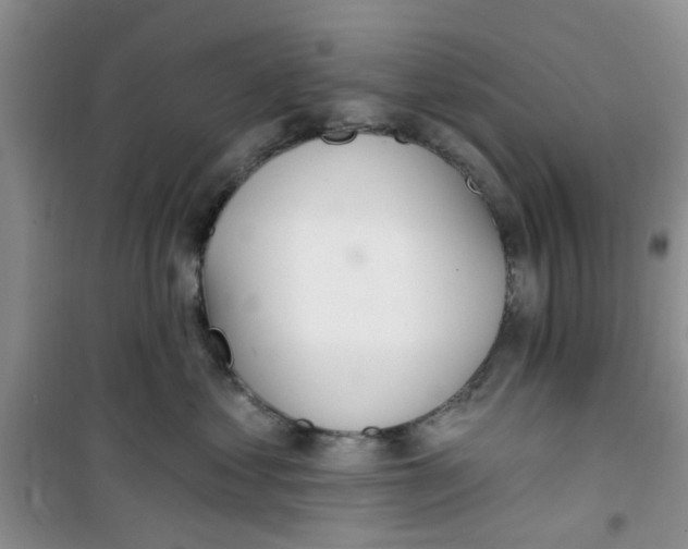 X0000100960621200807221146