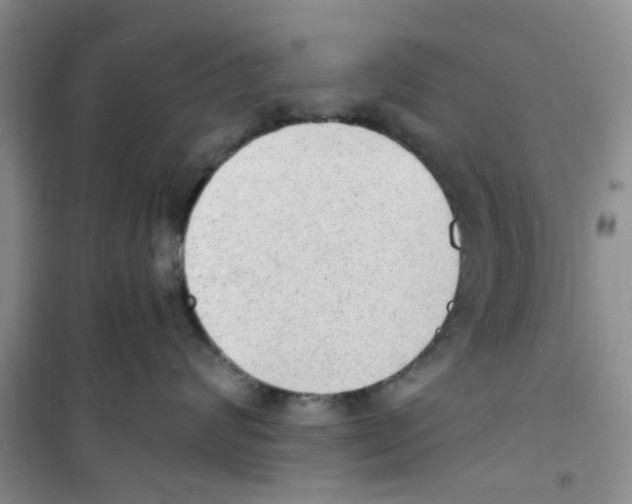 X0000100960624200807221146