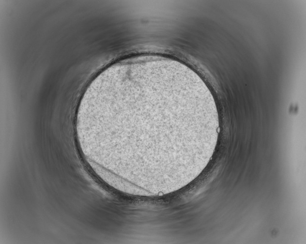 X0000100960625200807221146