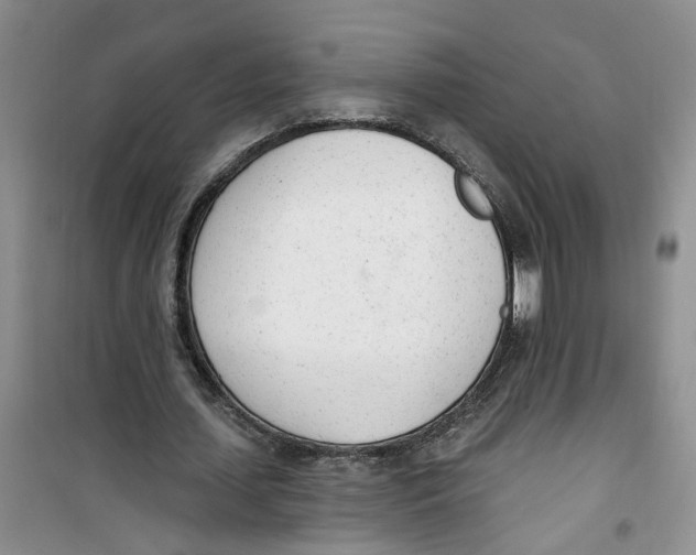 X0000100960627200807221146