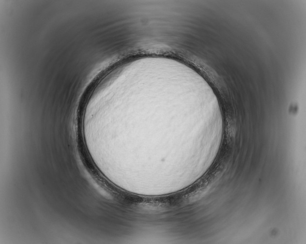 X0000100960630200807221146