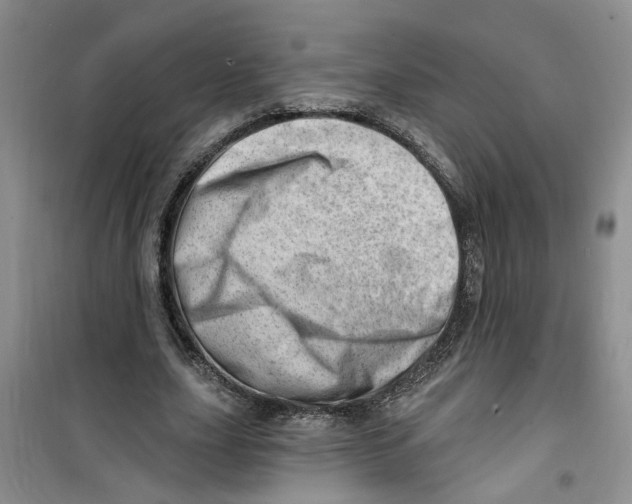 X0000100960631200807221146