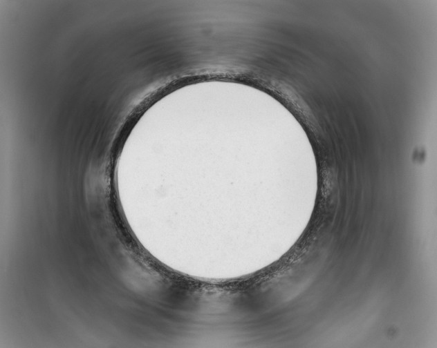 X0000100960632200807221146