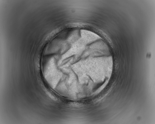 X0000100960633200807221146