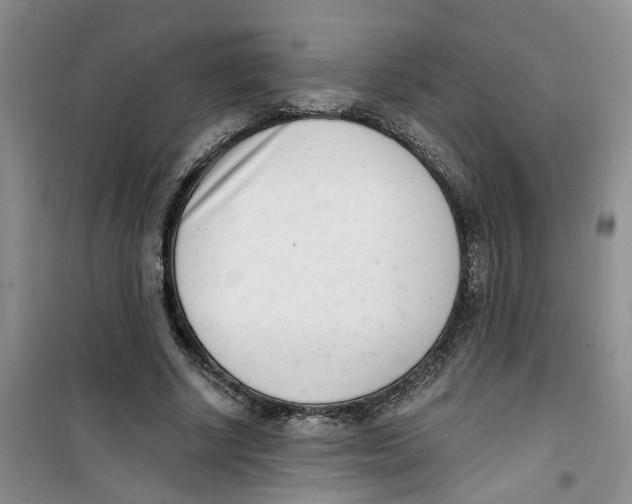 X0000100960634200807221146