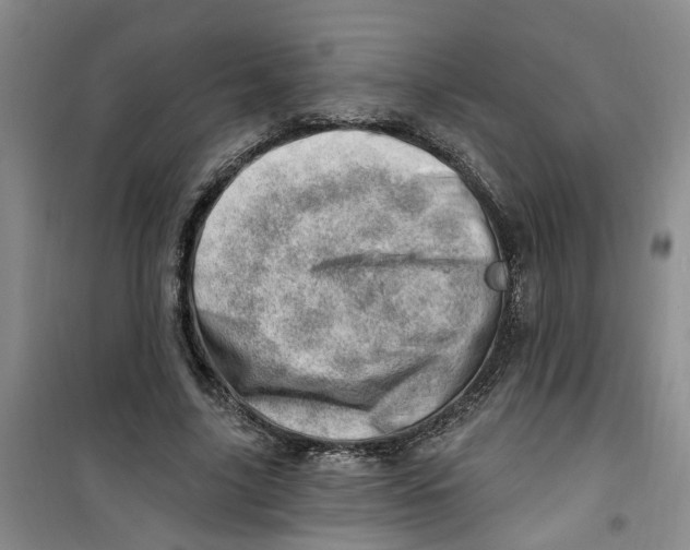 X0000100960635200807221146