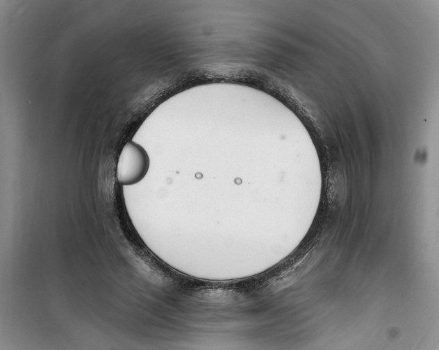 X0000100960637200807221146