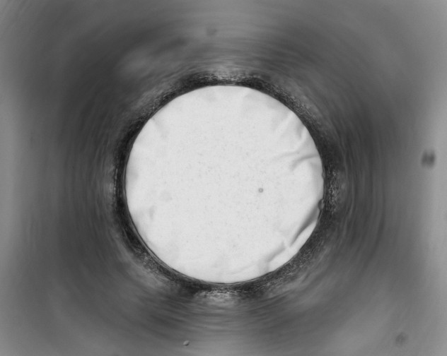 X0000100960639200807221146