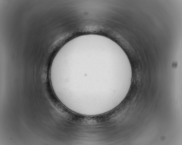 X0000100960640200807221146