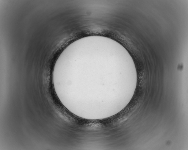 X0000100960642200807221146