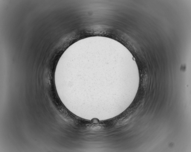 X0000100960643200807221146