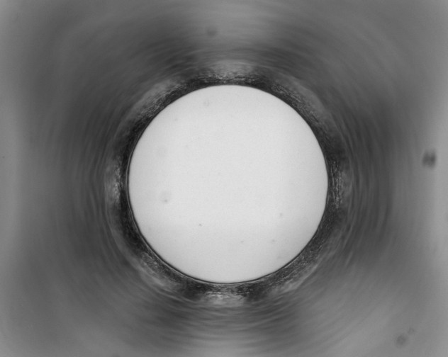 X0000100960644200807221146