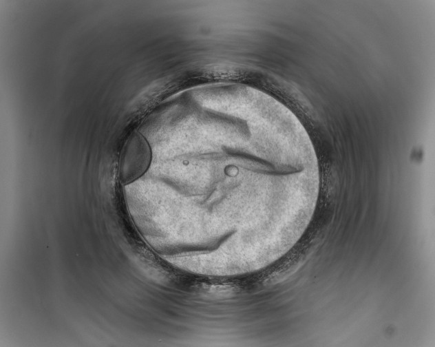 X0000100960645200807221146