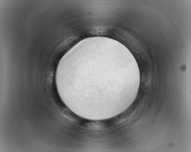 X0000100960652200807221146