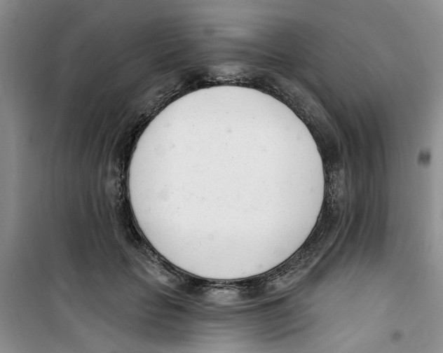 X0000100960653200807221146