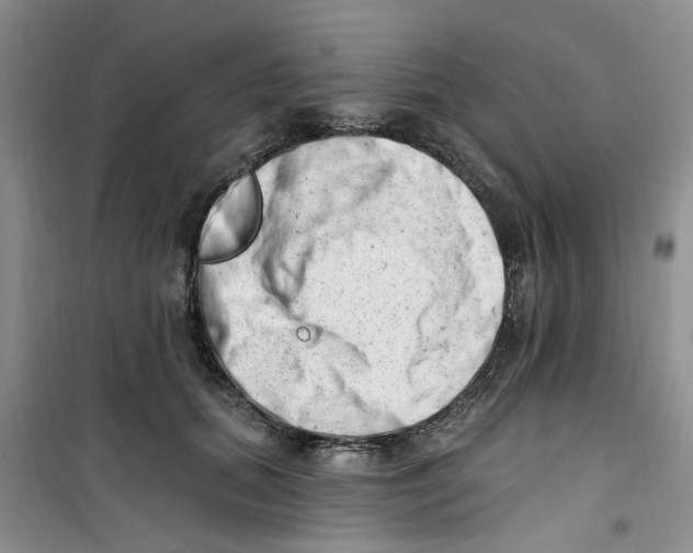 X0000100960655200807221146