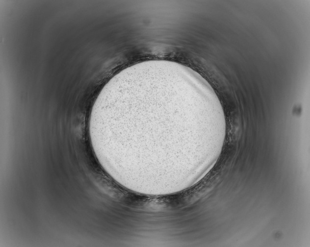 X0000100960656200807221146