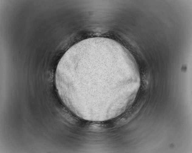 X0000100960657200807221146