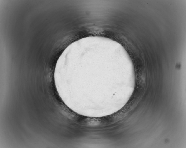 X0000100960658200807221146