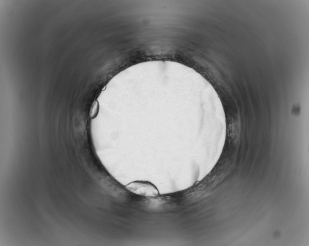 X0000100960662200807221146