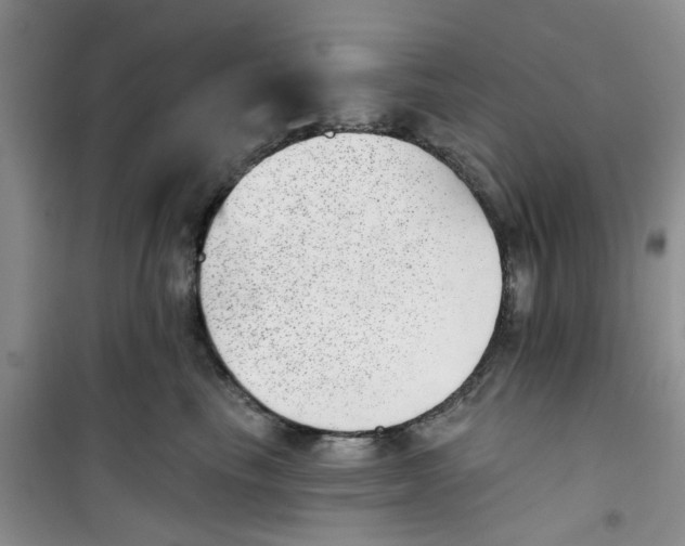 X0000100960665200807221146