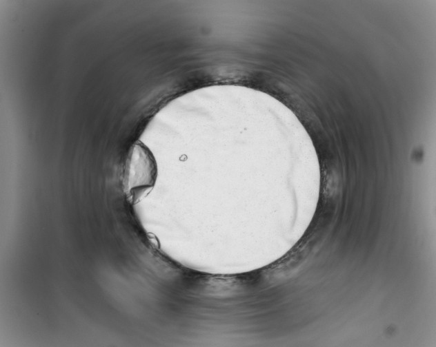 X0000100960666200807221146